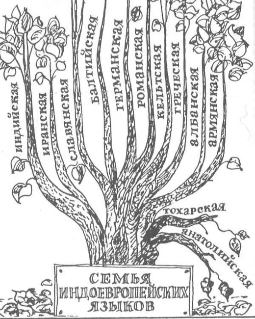 Индоевропейская языковая семья схема