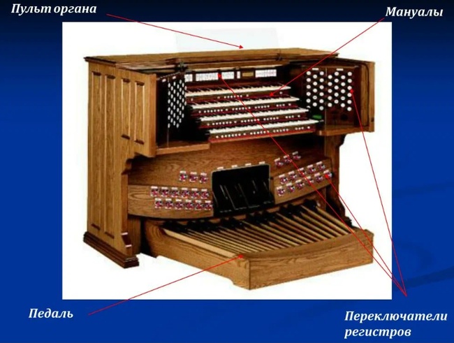 Устройство органа музыкального инструмента схема