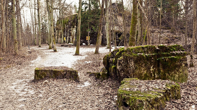 Бункер гитлера в смоленске красный бор фото