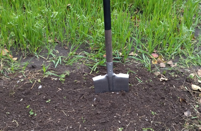 Можно ли перекапывать землю. Вскопать огород Гулькевичи. Обязательно ли копать огород. Копать огород машина. Участки свежевырытой земли.