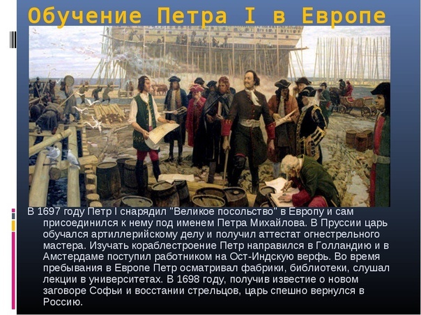 Изучал в голландии воинское дело инициатор налоговой реформы по западному образцу