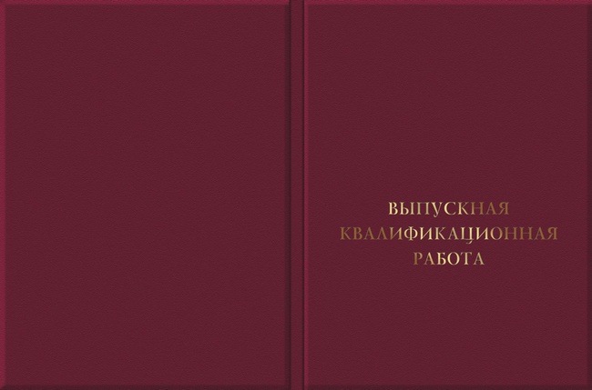 Обложка работ. Папка для ВКР. Обложка для ВКР. Выпускная квалификационная работа. Выпускная квалификационная работа обложка.